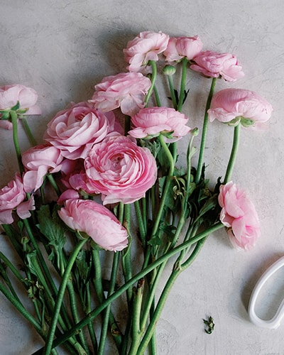 Flower Shop 36b