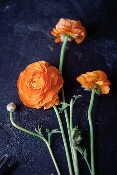 Flower Shop 47
