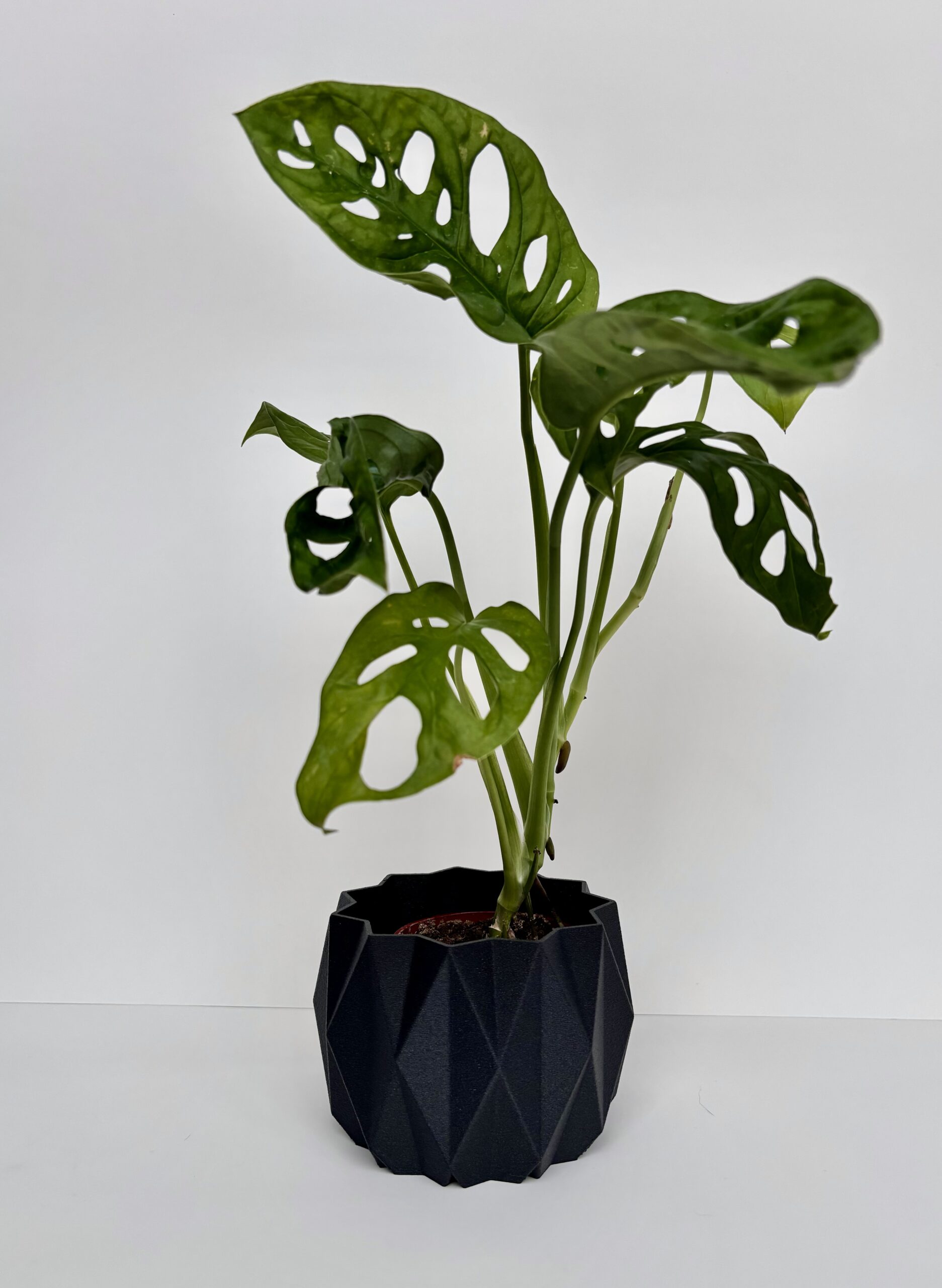 Cache-pot - Le Stylé