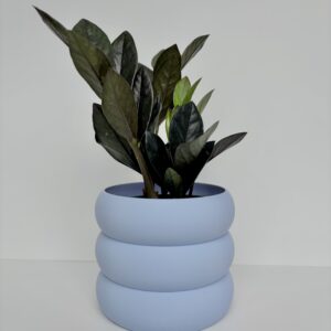 Cache-pot - Le Bubbly