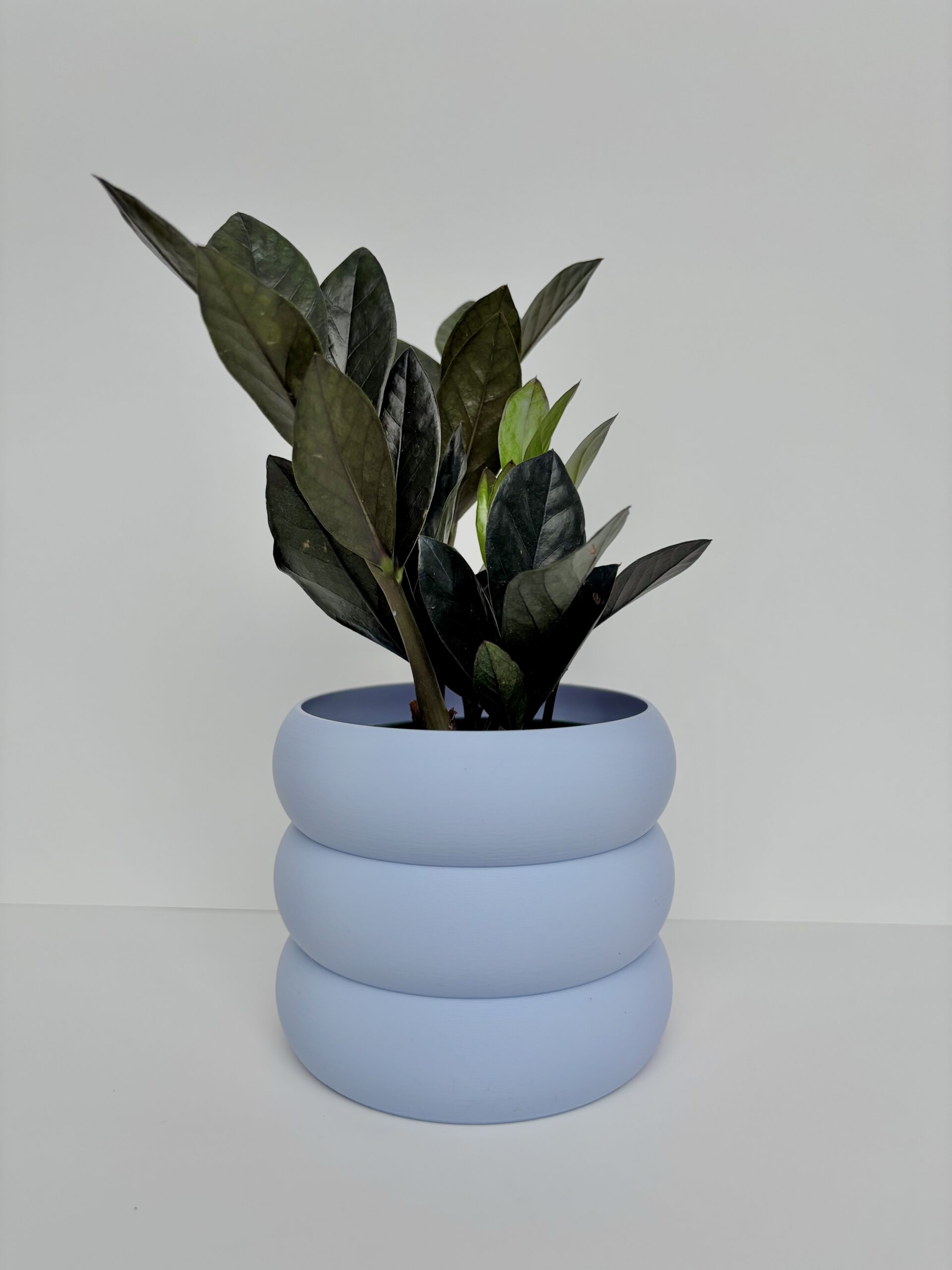 Cache-pot - Le Bubbly