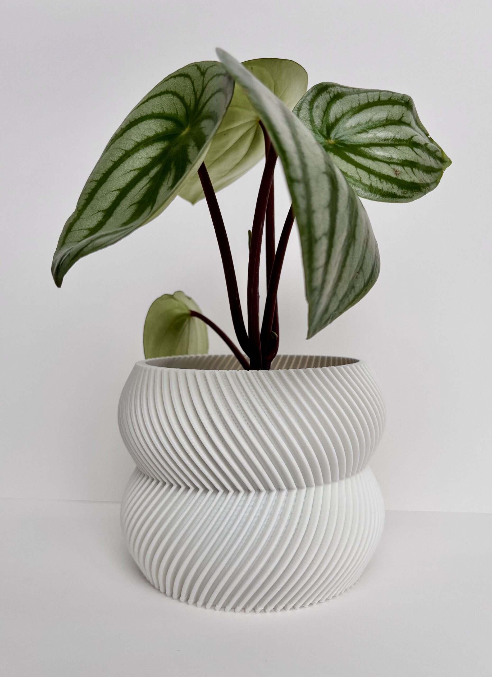 Cache-pot - Le Charmant