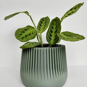 Cache-pot - Le Plaisible