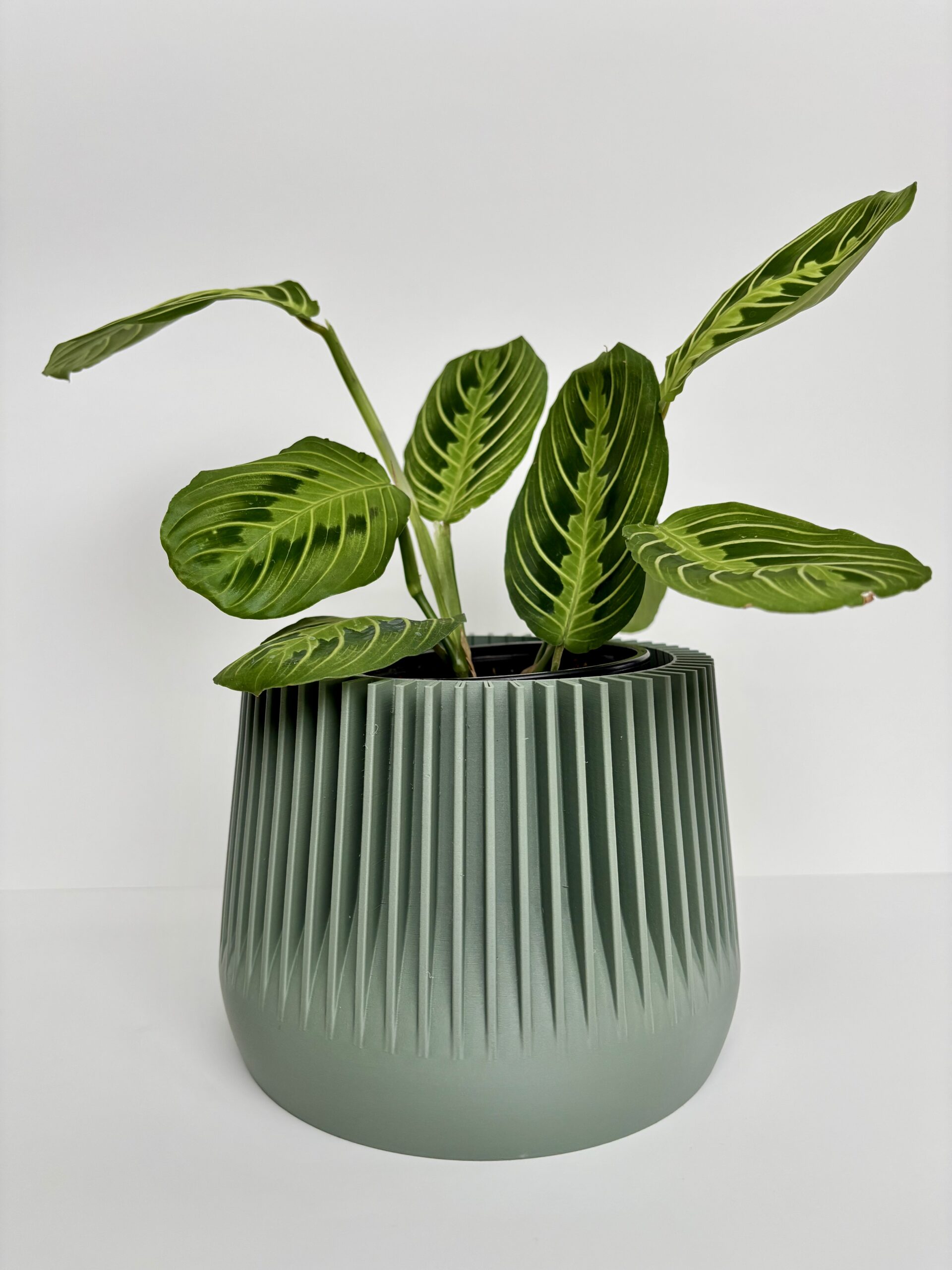 Cache-pot - Le Plaisible